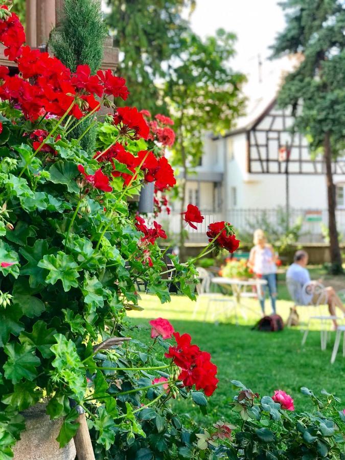 Hotel Le Manoir Barr Exterior foto